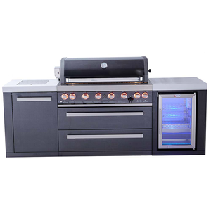 Barbacoa de Gas portátil de <span class=keywords><strong>acero</strong></span> <span class=keywords><strong>inoxidable</strong></span> <span class=keywords><strong>para</strong></span> exteriores, <span class=keywords><strong>parrilla</strong></span> de barbacoa <span class=keywords><strong>para</strong></span> jardín, usado - Product Image 1