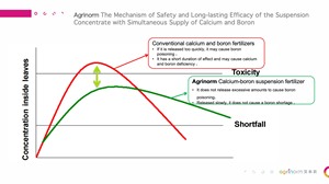 Calcio boro liquido sospensione Ca150 B50 Formula  fertilizzante organico senza nitrato e ad alto contenuto minerale Ca boro - Product Image 6