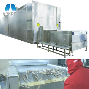 500 kg/giờ <span class=keywords><strong>iqf</strong></span> đường hầm Tủ đông máy Cá philê nhanh chóng tủ đông sâu Vụ Nổ tủ đông - Product Image 2