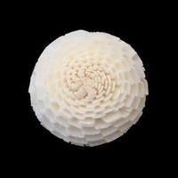 En stock – Plusieurs styles disponibles – Fleurs séchées en papier Sola Tongcao de 4 cm pour diffuseur de roseaux – Colorables et faciles à percer pour la décoration intérieure