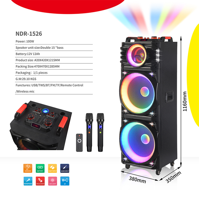 NDR-1526 Double 15 Inches Big Power Party Karaoke Speaker RGB LED Lighting Wireless DJ Music Speaker with Mic DC Power Source