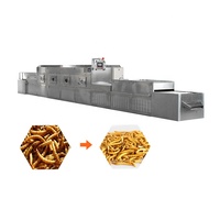 Milieuvriendelijke roestvrijstalen industriële magnetronvacuümdroger voor het drogen van mango's, fruit, groenten en voedsel, met hoge efficiëntie