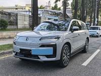 PRÊT À EXPÉDIER - DENZA N9 2.0T D'OCCASION