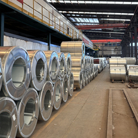Bobina de Acero Galvanizado Prepintado PPGI Azul Ultramarino RAL5023 con Certificación BIS, Ideal para Almacenes Marítimos y Portuarios