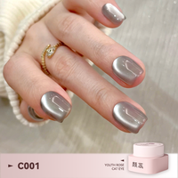 Gel magnétique œil de chat Youth Rose 30 couleurs avec pinceaux pour nail art, super brillant, à retirer par trempage, compatible UV LED, fournitures de vernis à ongles