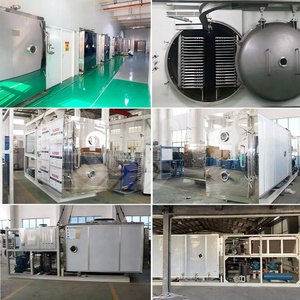 MY Sublimation Dryer Precio Del Liofilizador De Dulces Harvest Right Freeze Dryer Machine Uso doméstico - Product Image 5