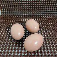 Tapis de nidification en PVC brun à aiguille simple pour poules pondeuses et bétail – Fabricant de tapis de nidification en paille pour poules