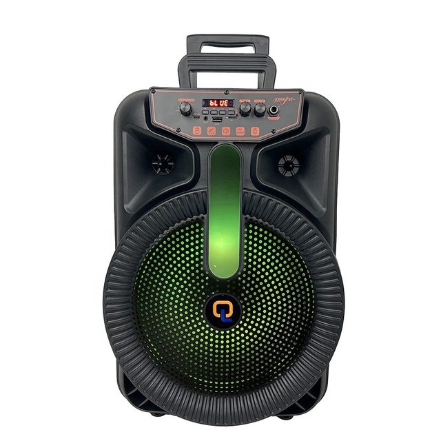 High Quality BT Karaoke Trolley Speaker 12 Inch 20W Stereo Sound RGB LED Lighting Battery Powered Guitar Input for Small Stage