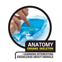 Kit de laboratoire d'anatomie EPT : Grenouille, lézard, chauve-souris – Jouet éducatif scientifique pour enfants de 5 à 7 ans – Puzzle de squelette à assembler soi-même