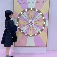 Roulette murale manuelle à prix surprise, éclairée par LED, pour événements de marché et de carnaval, avec personnalisation du logo, roue de loterie
