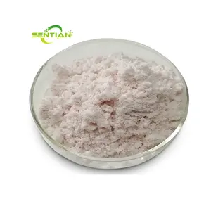 Wholesale Price Lactoferrin Supplement Bulk 95% Bovine Lactoferrin Powder Lactoferrin