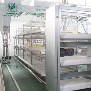 Cage pour poulets de chair entièrement automatique de type H pour élevage de volailles avec système d'alimentation et d'abreuvement automatique Prix de vente