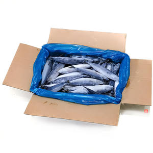Caballa del Pacífico Congelada, Caballa IQF, Caballa del Pacífico a Bajo Precio, Caballa del Pacífico HGT al por Mayor - Product Image 1