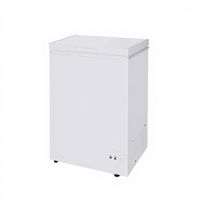 Congélateurs <span class=keywords><strong>Coffre</strong></span> Commerciaux Industriels 100L 200L 150L Alimentés par Courant Alternatif – Mini Congélateurs à Crème Glacée et Équipements de Réfrigération pour le Stockage - Product Image 1