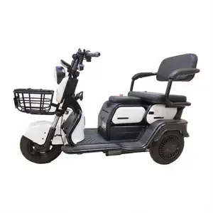 Highest Quality Drum Brake Automobile Enclosed Tricycle Electric For Sale