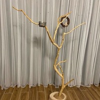 Support décoratif pour cage à oiseaux en forme de branche d'arbre, perchoir pour perroquet, poteau de perchoir, fourche d'arbre, support de lampe sur pied