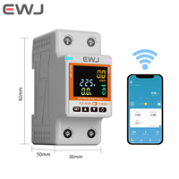 Interrupteur WIFI EWJ-63T 63A Smartlife TUYA, disjoncteur avec compteur d'énergie, minuterie, protection contre les surtensions, les fuites de courant, en plastique