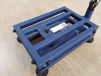 Échelle de plate-forme de pondération électronique avancée de 100kg 300*400mm avec caractéristiques personnalisables OEM modèle TCS