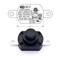 Interrupteur à bouton-poussoir marche-arrêt à borne à souder 250V 10A 2 broches pour lampe de poche torche ENEC catégorie de produit interrupteurs à bouton-poussoir