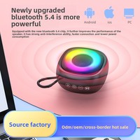 Haut-parleur portable sans fil 5.3 avec mini-caisson de basses pour extérieur, sortie 5W, matériau ABS, batterie 500-1000mAh, emplacement pour carte