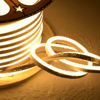 Bande lumineuse LED néon super brillante 110V 220V 120LED/M, étanche IP67, pour résidences, restaurants, hôtels, parcs, jardins, aménagements paysagers