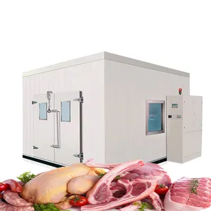 Pannello industriale 150mm di spessore Walk-In Freezer locale per la conservazione a freddo dell'azienda agricola di pollo per uso alimentare