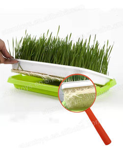 Jouets scientifiques éducatifs en plastique à faire soi-même pour enfants, jouets STEM pour <span class=keywords><strong>l</strong></span>'expérimentation <span class=keywords><strong>de</strong></span> culture <span class=keywords><strong>de</strong></span> graines <span class=keywords><strong>de</strong></span> plantes, livrés pour enfants - Product Image 3