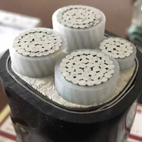 Câble électrique haute sécurité WDZN-YJY, conception à faible émission de fumée et non toxique pour les projets de complexes commerciaux et de bâtiments de bureaux