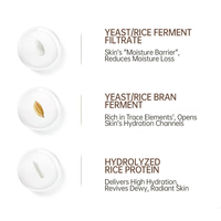 Ensemble de soins hydratants pour la peau au riz, essence fermentée pour les peaux fragiles et sensibles