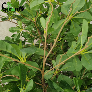 Nhà Máy Trực Tiếp Hot Bán 2.2M Cao Màu Xanh Lá Cây Sợi Thủy Tinh Nhân Tạo Cây Cho Trang Trí Cho Thiết Kế Nội Thất - Product Image 3