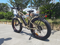Vélo électrique à pneus larges avec moteur central 48V 750W, batterie au lithium 15Ah, frein à disque hydraulique, modèle adulte, autonomie jusqu'à 50 km