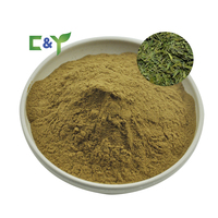 Extrait de thé vert de haute qualité, poudre de thé vert, capsules d'extrait de thé vert