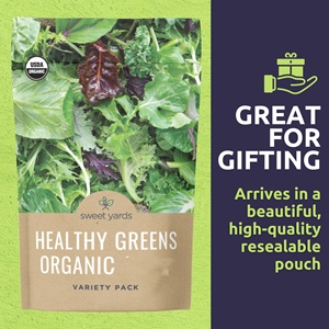 Légume vert biologique non-OGM pour <span class=keywords><strong>la</strong></span> moutarde de chardonnay suisse, sachet de légumes verts d'intérieur sains pour <span class=keywords><strong>la</strong></span> nouvelle saison, 12 unités individuelles à suspendre - Product Image 1