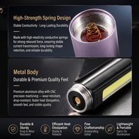 Lampe torche UV à logo personnalisé OEM, emballage cadeau, 365nm, test de pierres précieuses, rechargeable, aluminium, CE RoHS, directement de l'usine