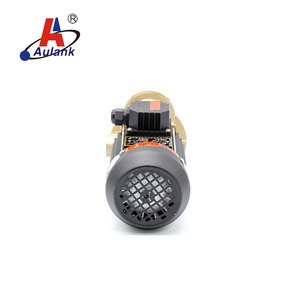 ปั๊มน้ำร้อนแบบแนวตั้ง Aulank WL-07 0.5kw 0.7Hp พร้อมตัวเลือกวัสดุตัวปั๊มหลายประเภท - Product Image 4