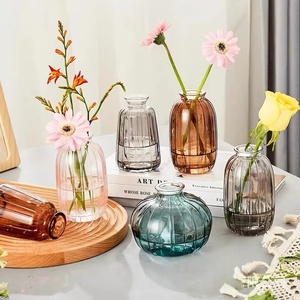 Piccolo Vaso Smaltato Semplice Stile INS, Vaso Singolo per Fiori, Trasparente Colorato Minimalista Moderno, Regalo Aziendale - Product Image 1