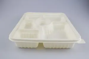 Newest Hot Sale Cornstarch Lunch Box Food Grade Take Out Paper Packaging Food Box Environmentally Friendly Meal Box