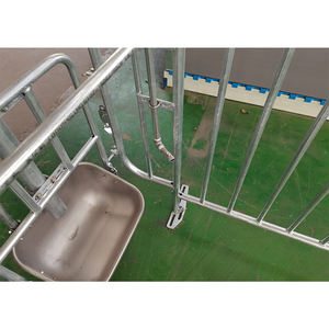 Precio de fábrica Jaula de gestación de cerdos embarazadas Jaula para cerdas - Product Image 6