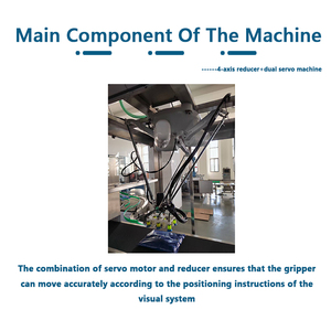 High Speed Automatic PLC-controlled Food <b>Plastic</b> Sachet Bag Carton Case Filling <b>Spider</b> Packer Robot Sealer Packaging Machine - Product Image 3