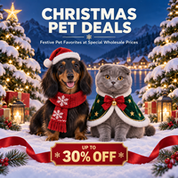 Bavoirs et chapeaux décoratifs de Noël pour animaux de compagnie (chats et chiens) – Style Instagram – Cadeaux de fêtes – Vente en gros directe usine