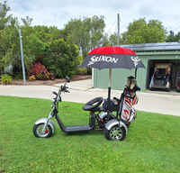 Carrito de Golf Eléctrico 2026, Bicicleta Eléctrica, Patineta de Golf, Scooter de 3 Ruedas, 2000W, 3000W, 60V para Diversión Absoluta, Scooter de Golf, Triciclo, Citycoco