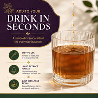 Gouttes liquides d'Ashwagandha en gros 118ml Formule à base de plantes sans alcool avec mélisse pour le calme quotidien et le soutien au bien-être ODM