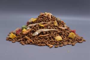 Alimento Seco para Gatos Best <span class=keywords><strong>Choice</strong></span>, Logotipo Personalizado, Fórmula Científica, Alimento Orgánico para Mascotas con Alto Contenido de Proteínas para Gatos - Product Image 2