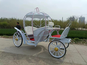 عربة سندريلا فنية حديدية ، عربة إبداعية ، ديكور عربة خارجية ، عربة بمناظر طبيعية ، سيارة لمشاهدة معالم المدينة - Product Image 4