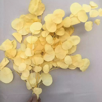 Feuilles de pomme séchées naturelles, blanches et roses, décoratives, pour arrangements de mariage.