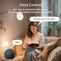 Bilihondim UK Matter Over Thread Mini Plug Dimmer 200W Contrôle sans fil Garantie d'un an Protection contre les surcharges Plug and Play