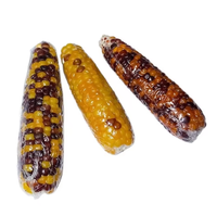 Mini friandises naturelles en épi de maïs, bâtonnets à mâcher interactifs pour petits animaux, pour cochons d'Inde, chinchillas et lapins
