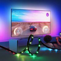 Fournisseur de boutique en ligne Moniteur d'immersion avec logo personnalisé PC TV Rétroéclairage 100% Sync Smart Led Strip Lights