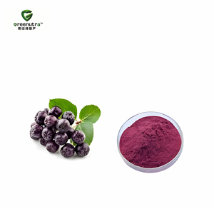 Extrait de baies d'<span class=keywords><strong>aronia</strong></span>, <span class=keywords><strong>poudre</strong></span> d'anthocyanine, compléments antioxydants haute puissance, colorant alimentaire naturel, applications alimentaires santé - Product Image 3