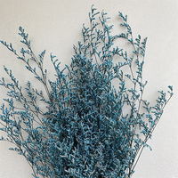 Fleurs séchées naturelles de Limonium Safora (Misty) préservées, avec un processus d'absorption de couleur longue durée de 3 à 5 ans, pour la décoration de la maison et de mariages